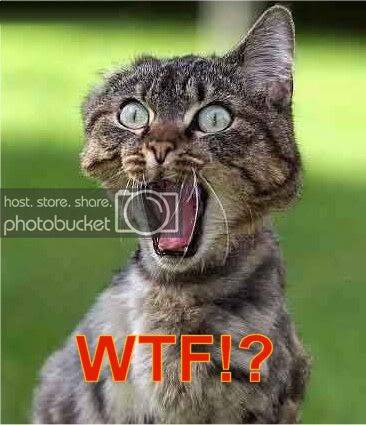 funnywtf3453453.jpg