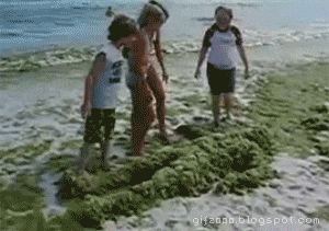 pedobear-attacking-clueless-victims-animated.gif