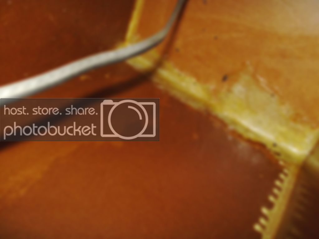 PICT0070.jpg