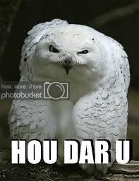 Owl.jpg