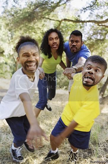 000SHEEED2.jpg
