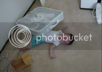 93Fan1Baby0.jpg