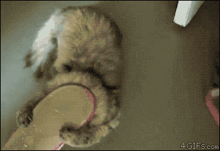 hmqK9.gif