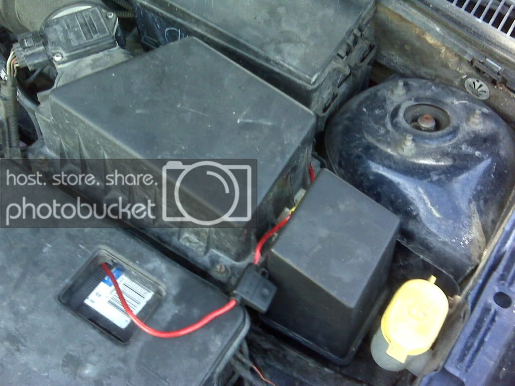 IMG00198.jpg
