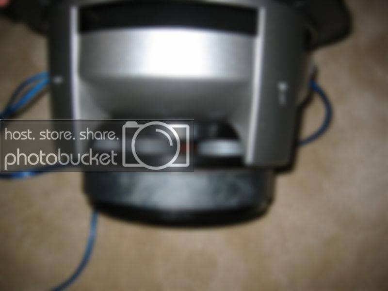 IMG_1436Medium.jpg