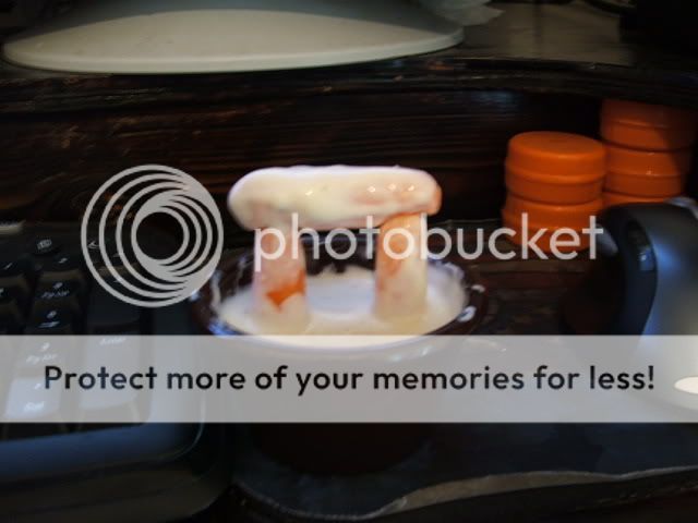 DSCF1154.jpg