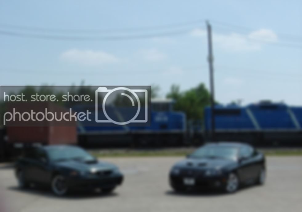 Copyofnewcars007.jpg