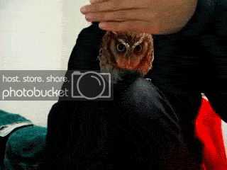 curious.gif