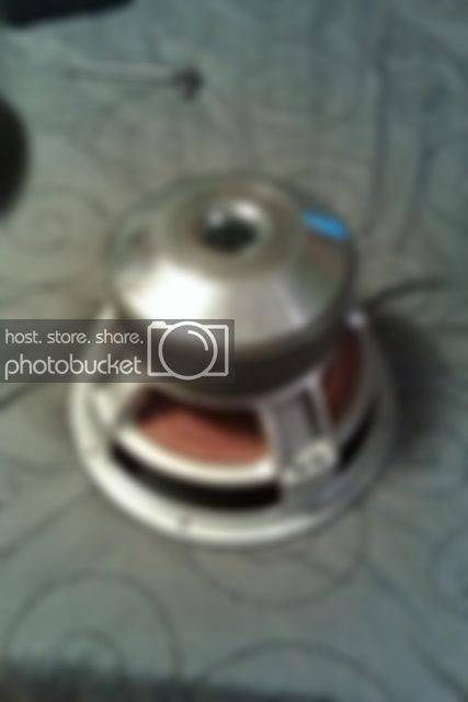 IMAG0032-1.jpg