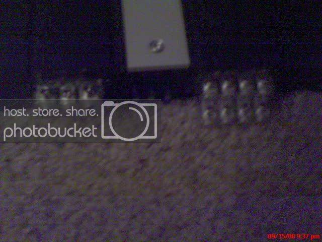 DSC00003.jpg