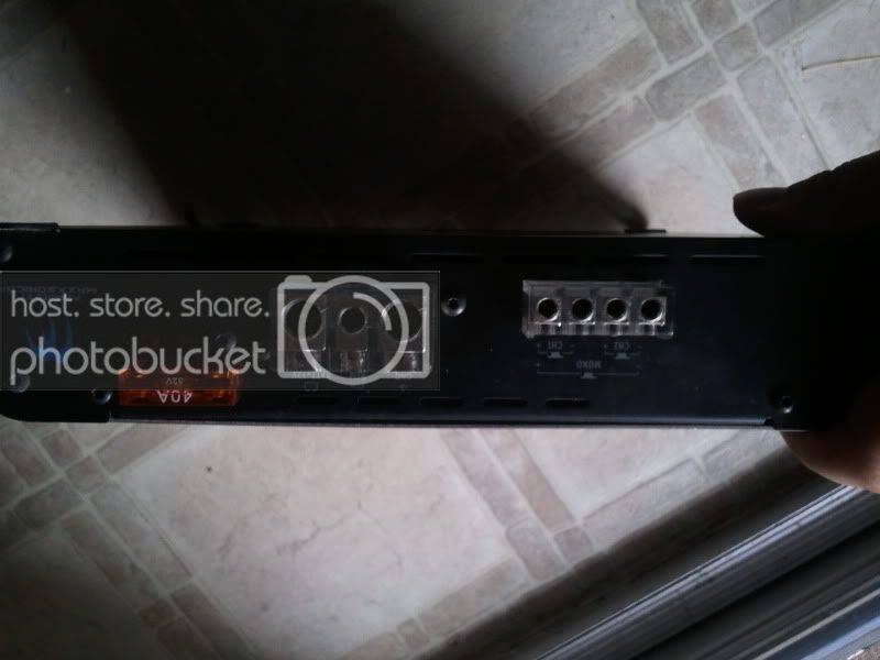 2011-03-25130845.jpg