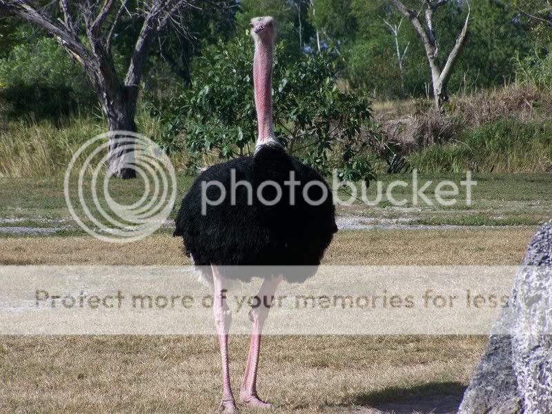 zoo043.jpg