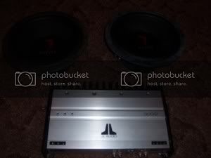 SL731503.jpg
