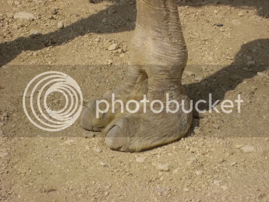 IMG_1586.jpg