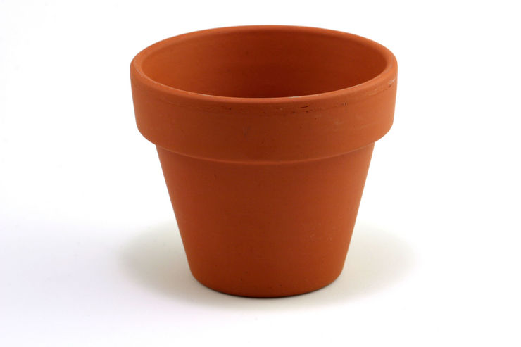 010608_clay_pot.jpg