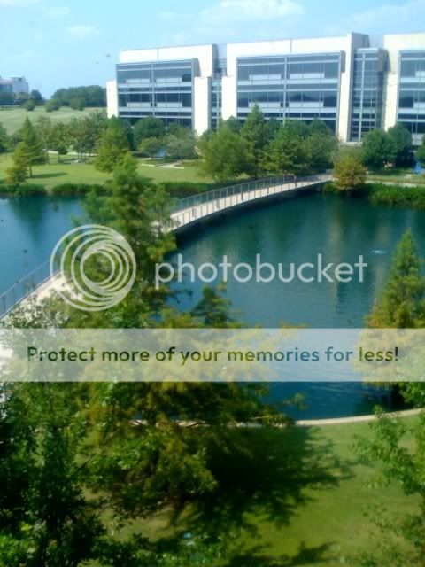 photo10.jpg