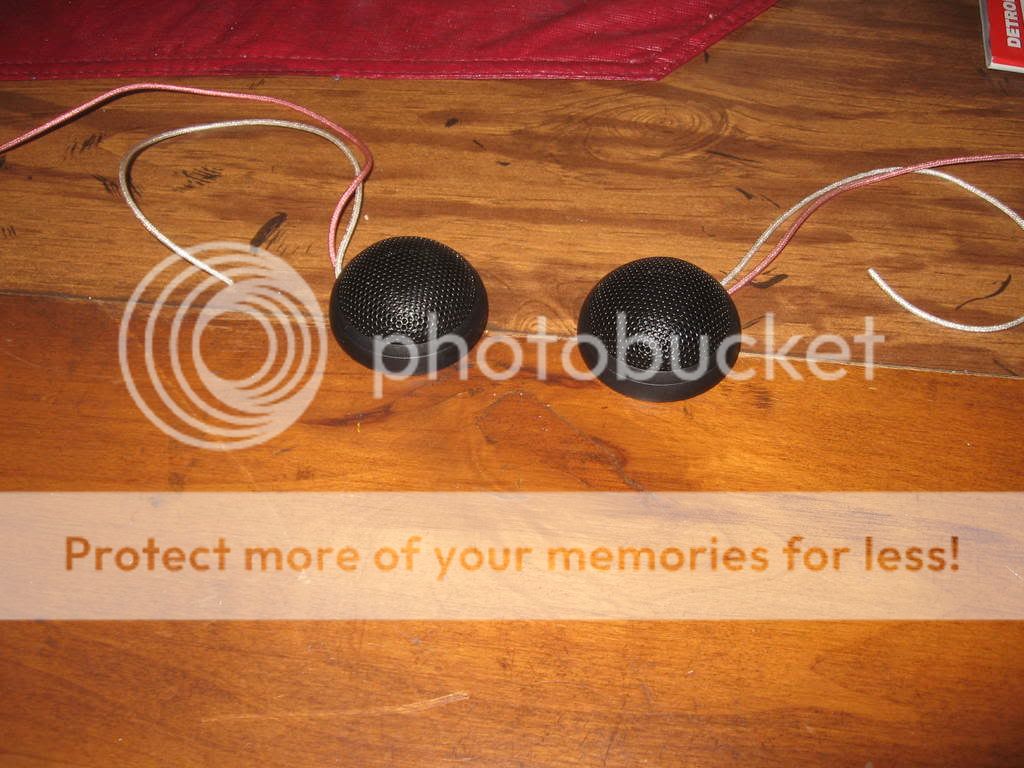 IMG_2651.jpg