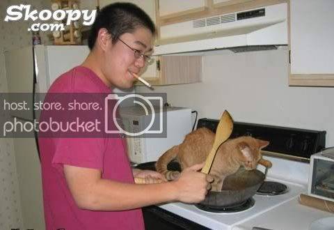 catpan.jpg