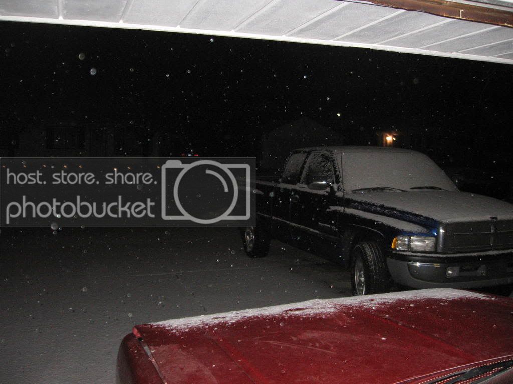IMG_2186.jpg