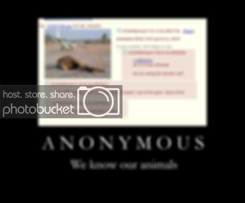 1231308199423.jpg