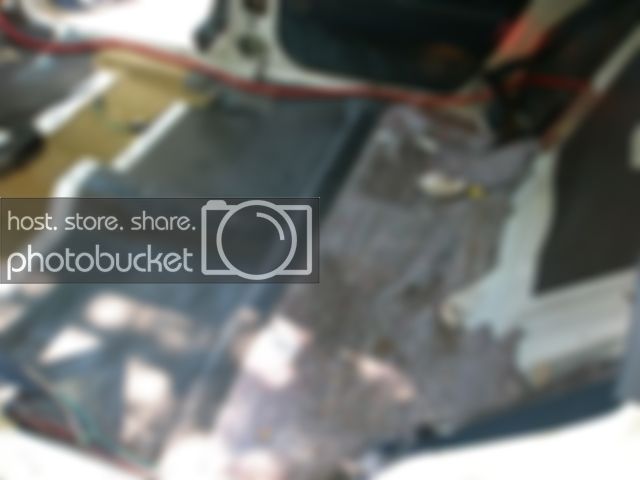 CarpetOutBack.jpg