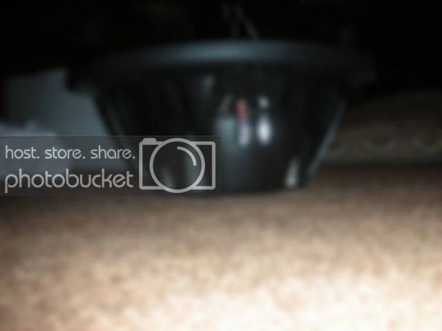 DSCN3493.jpg