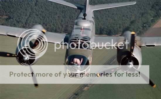 army11.jpg
