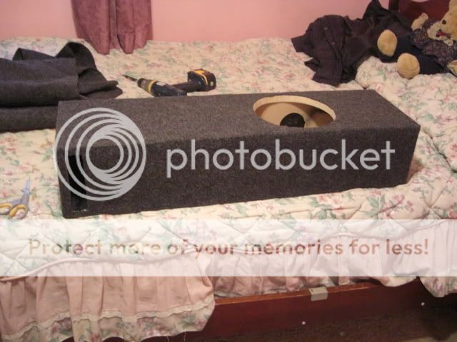 CIMG0076.jpg