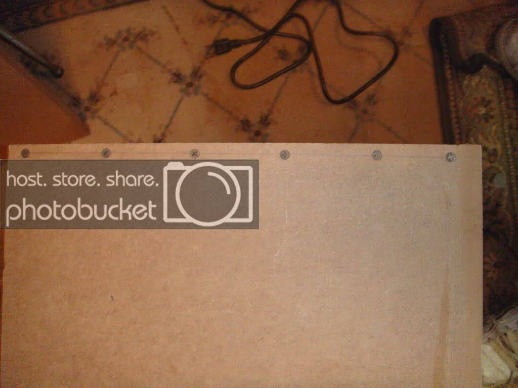 DSC00517.jpg