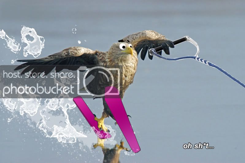 eagleSKI.jpg