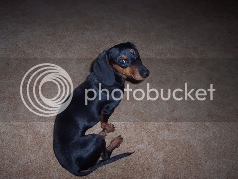 budsky001.jpg