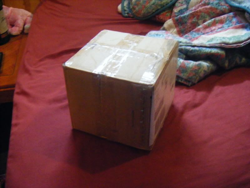 DSCF0354.jpg