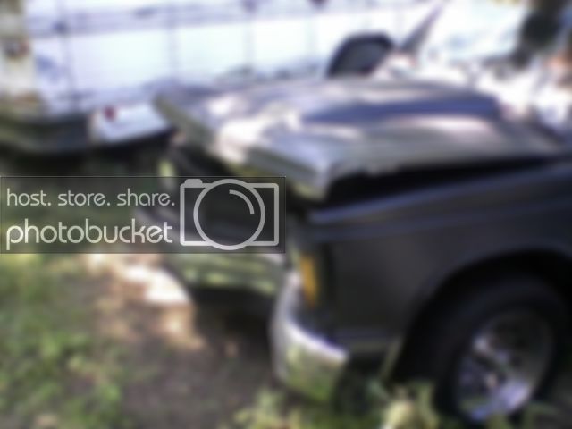 Photo-0009.jpg