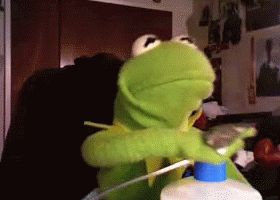 naughty-memes-wtf-frogs-don-1.gif