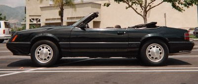 003_1A.gif