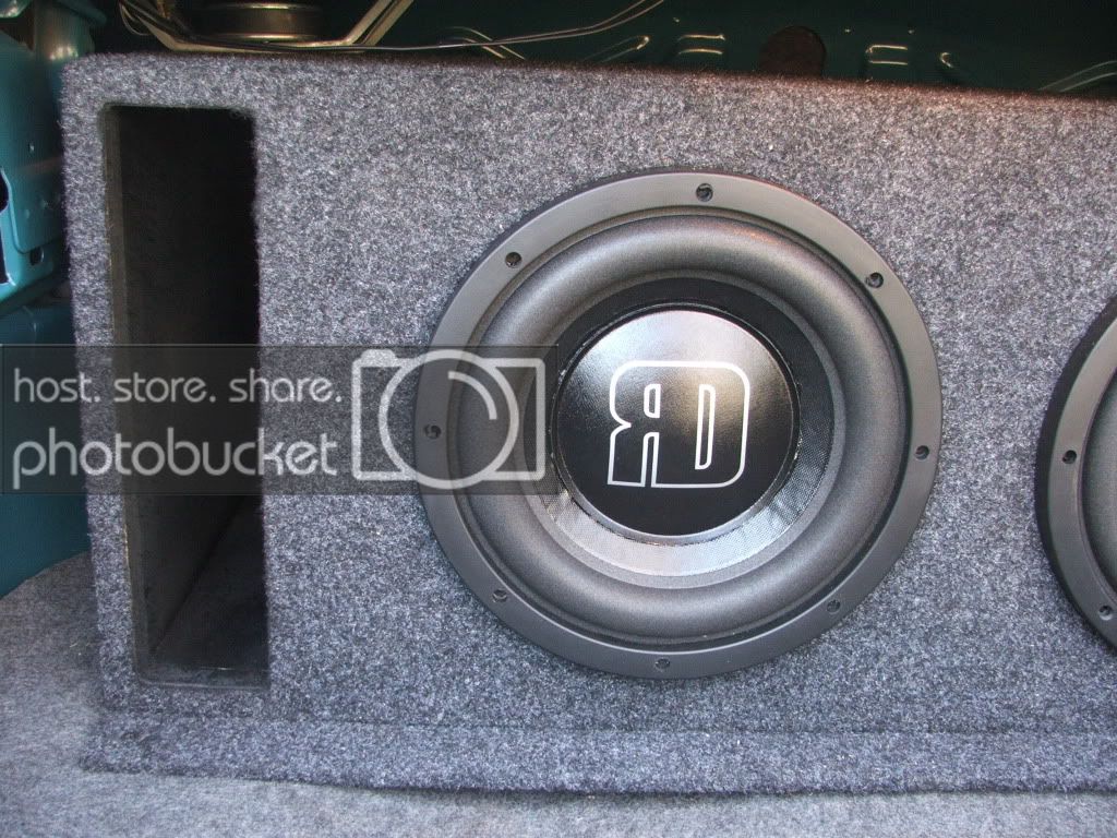 cavy341.jpg