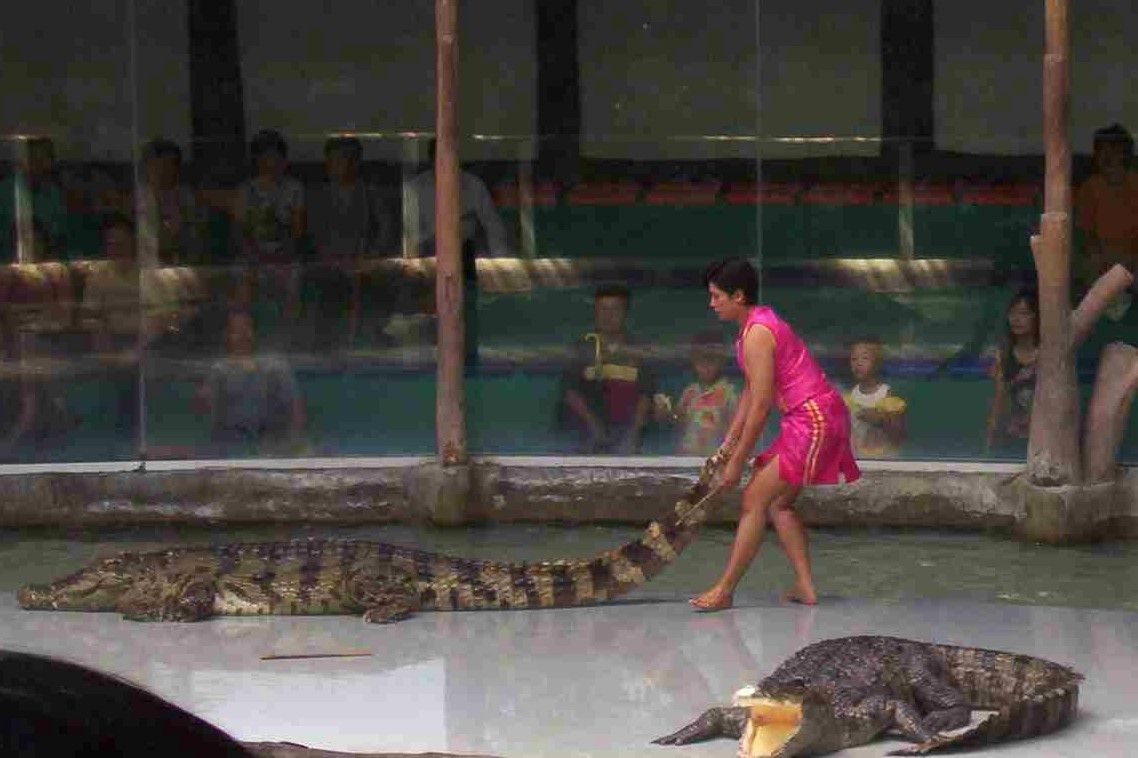 crocodile.by.the.tail.no.shit.jpg