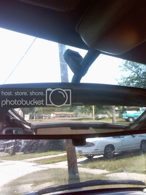 pic082908_7.jpg
