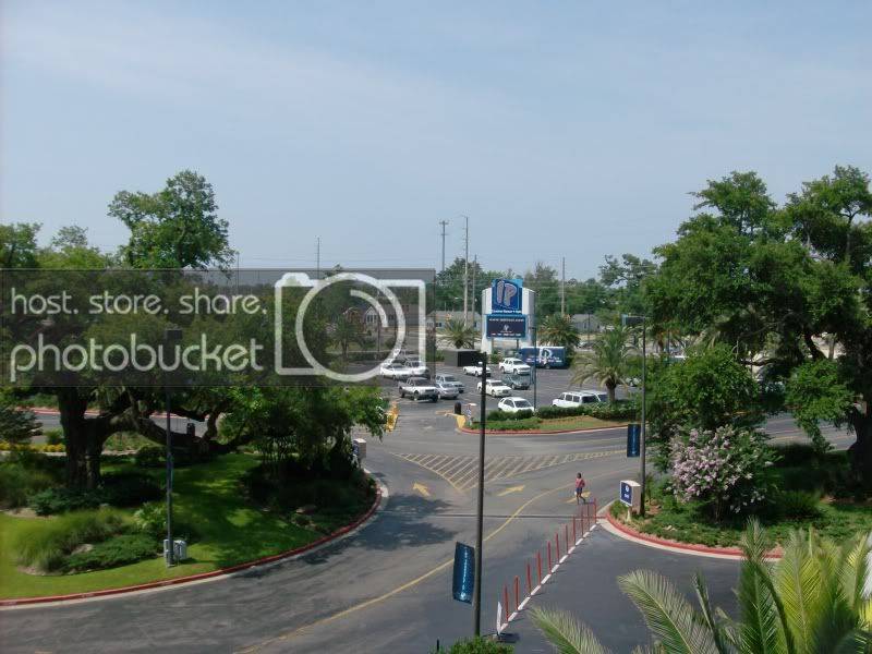 Picture255-1.jpg