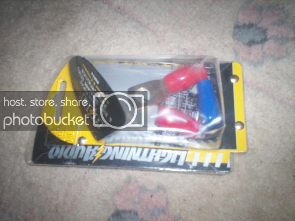 100_0220copy.jpg