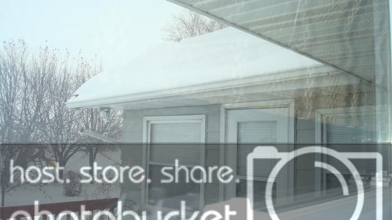 snowfall121908021.jpg