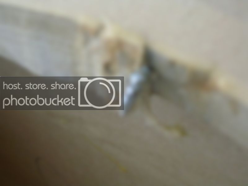 DSCN2714.jpg