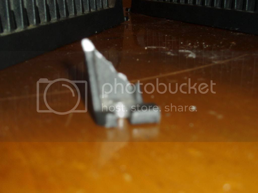 P1010015-1.jpg