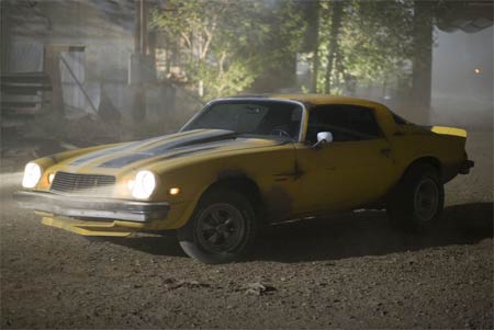 bumblebee-sale.jpg