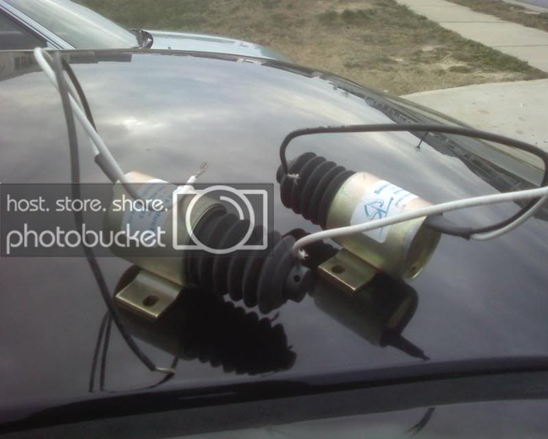 IMG00040.jpg