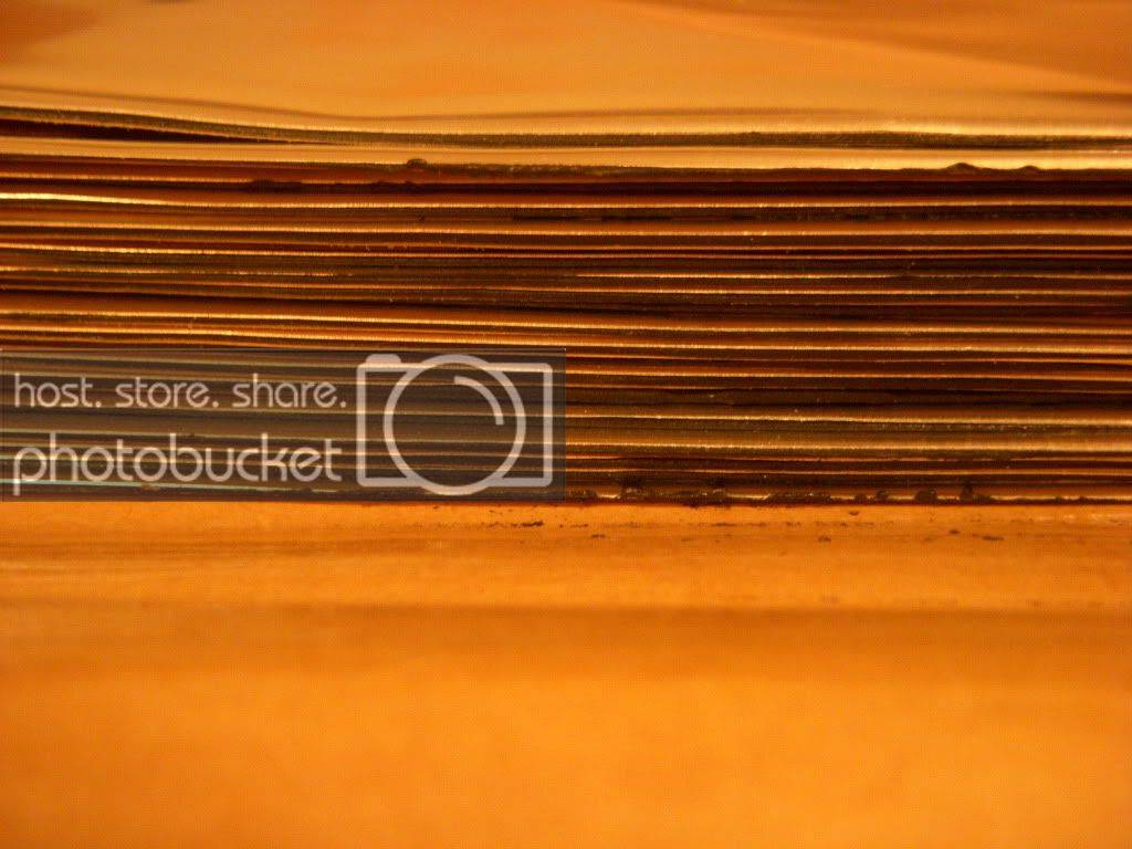 DSCN1517.jpg