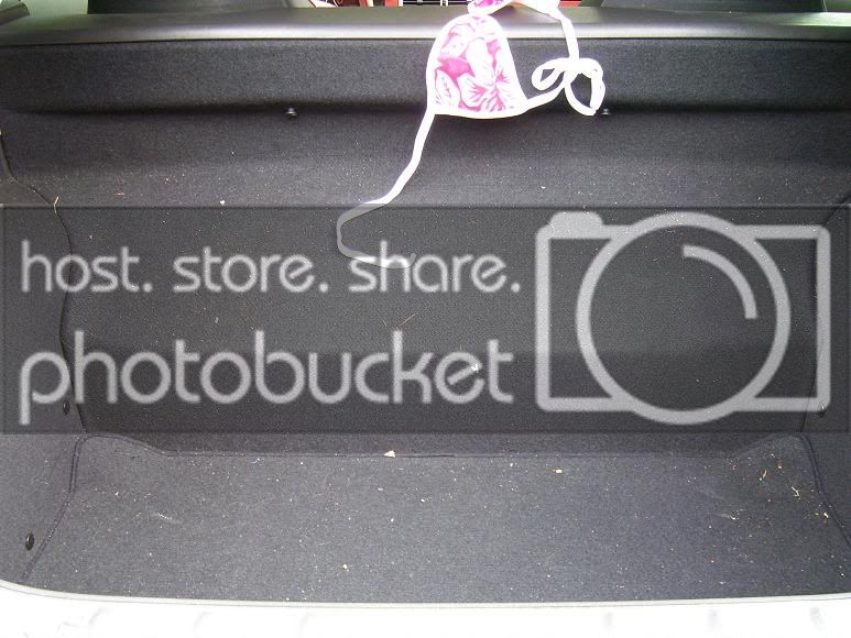 trunk2.jpg