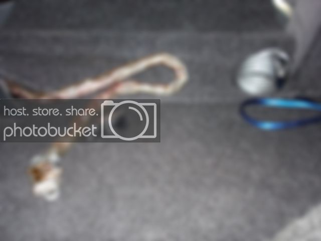 Toys013.jpg
