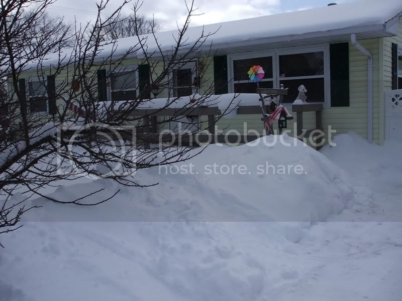 snow.jpg