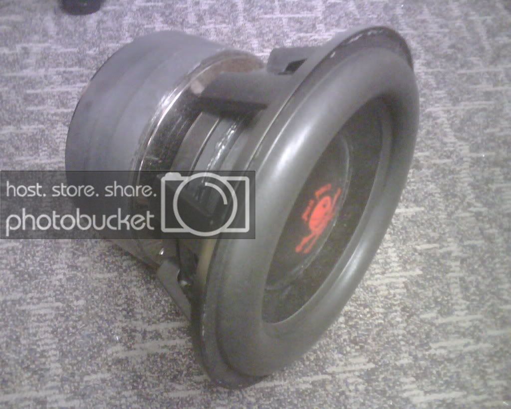 IMG00315.jpg